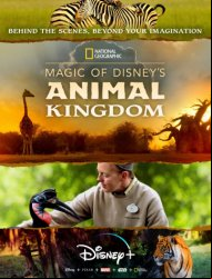 Au cœur de Disney’s Animal Kingdom